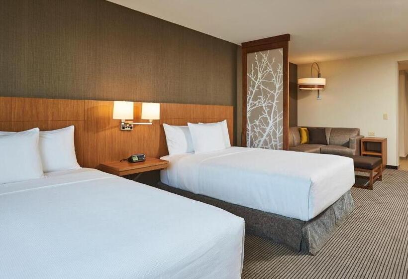 Habitació Estàndard Adaptada per a Discapacitats, Hyatt Place Toronto/mississauga Centre