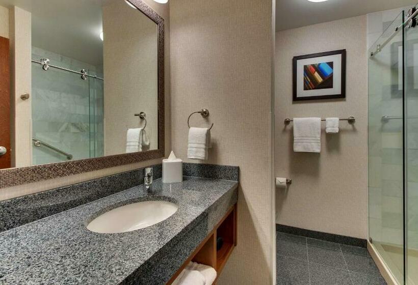 Люкс Кровать Кинг, Drury Plaza Hotel Nashville Downtown