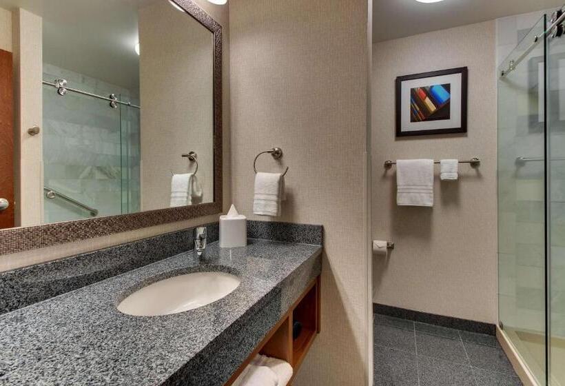 Номер Superior, Drury Plaza Hotel Nashville Downtown