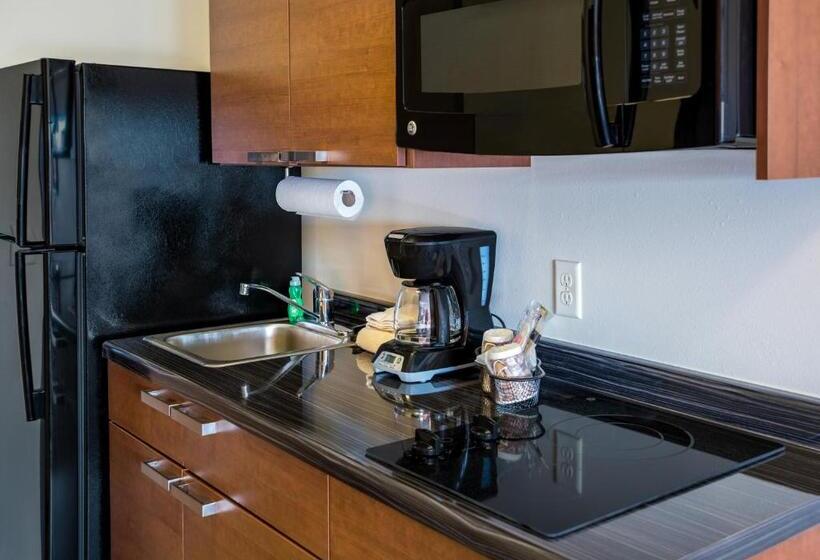 장애인을 위한 퀸사이즈 스탠다드 룸, My Place Hotel Wixom/novi/detroit, Mi