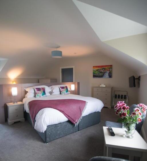 Habitació Deluxe Llit King, Sheedy's Doolin