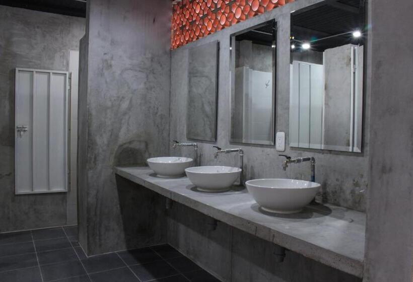 带共用浴室的标准房间, Zamia Hostel