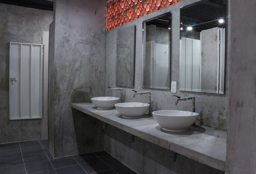 共用房间的床, Zamia Hostel