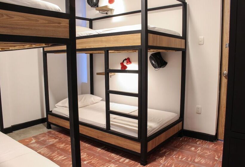 共用房间的床, Zamia Hostel