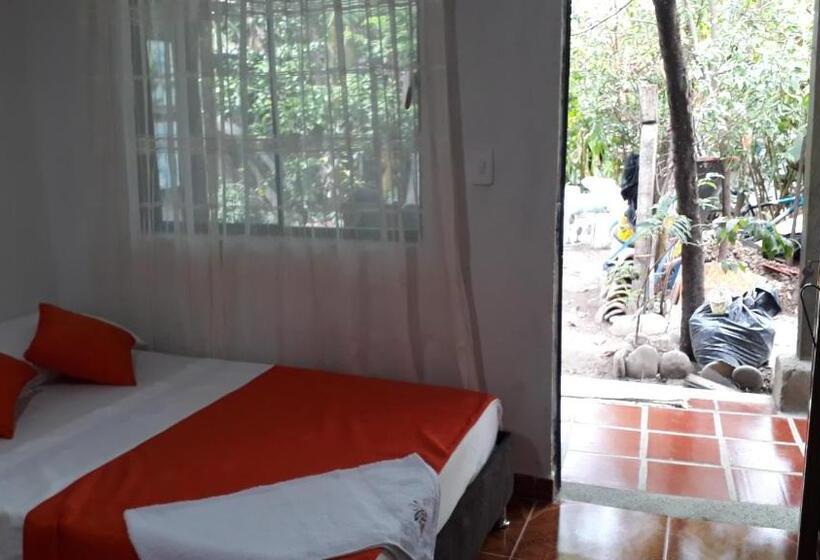 스탠다드 룸 가든 전망, Hostal Villa Cecilia