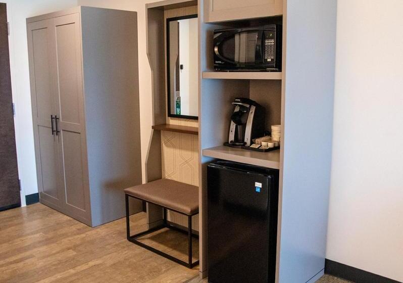 适合残疾人士使用的带超级大床的标准间, Holiday Inn & Suites   Savannah Airport   Pooler, An Ihg