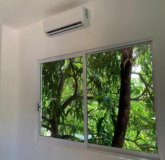 스탠다드 룸, Paziflora Hostel