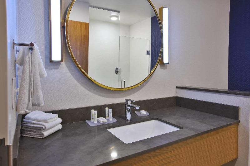 Люкс Кровать Кинг, Fairfield Inn & Suites By Marriott Flint Grand Blanc