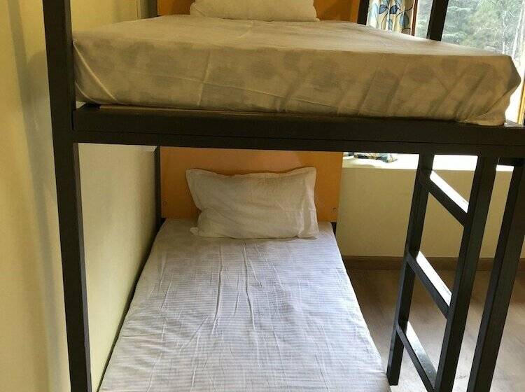 سرير فى غرفة مشتركه, Moustache Kasol   Hostel