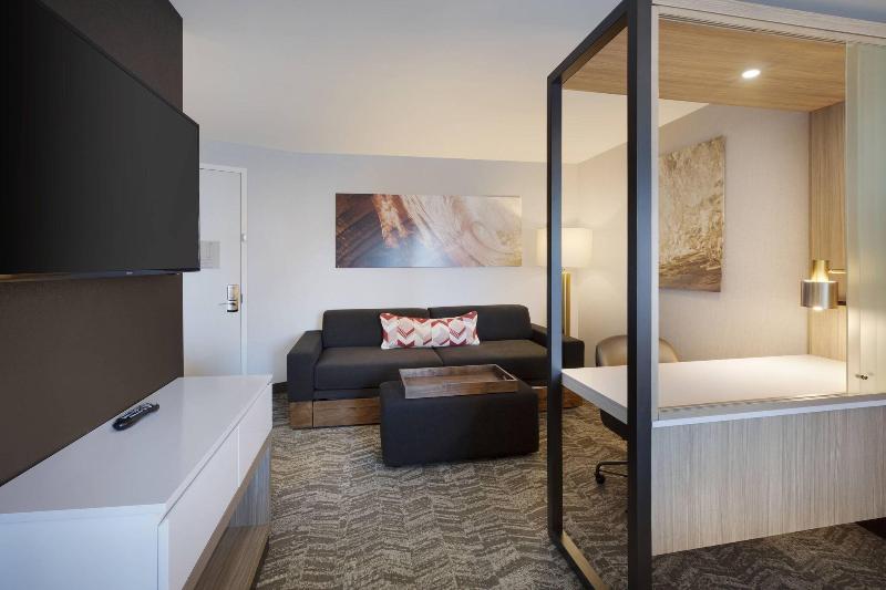 سوئیت با تخت بزرگ, Springhill Suites By Marriott Hampton Portsmouth