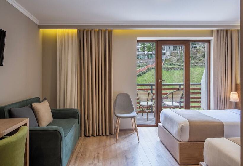 اتاق استاندارد سه نفره, Sairme Hotels & Resorts