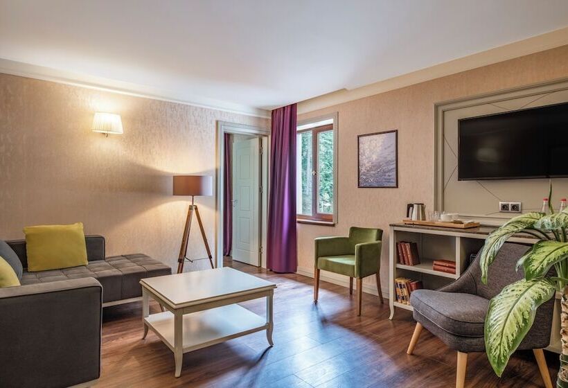 سوییت, Sairme Hotels & Resorts