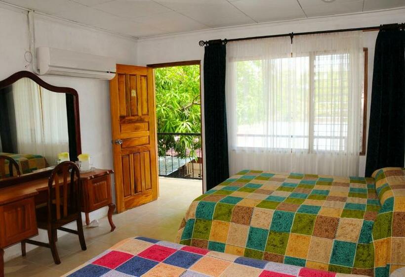 Quarto Estandar, Javy