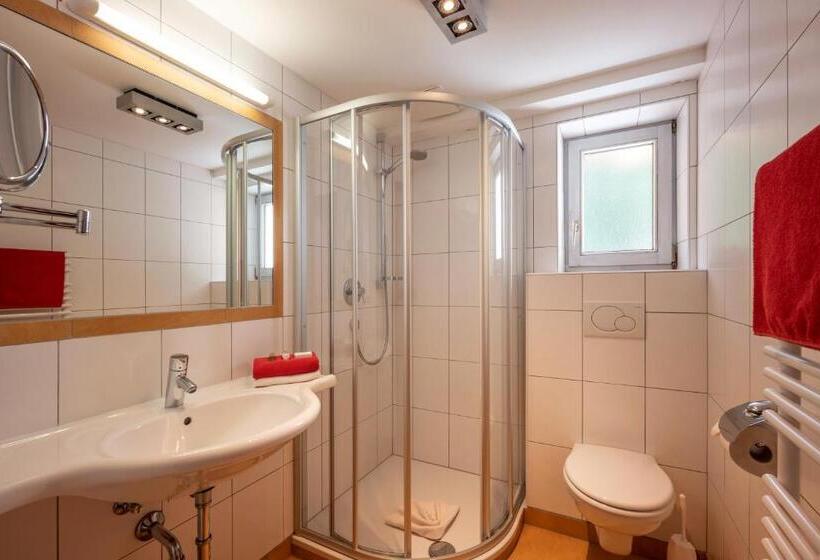 Номер Superior, Alpenrose Hotel Garni