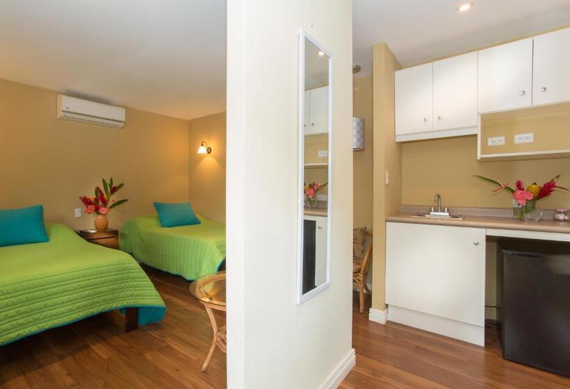 إستوديو قياسى مزودة بتراس, Airport Costa Rica B&b