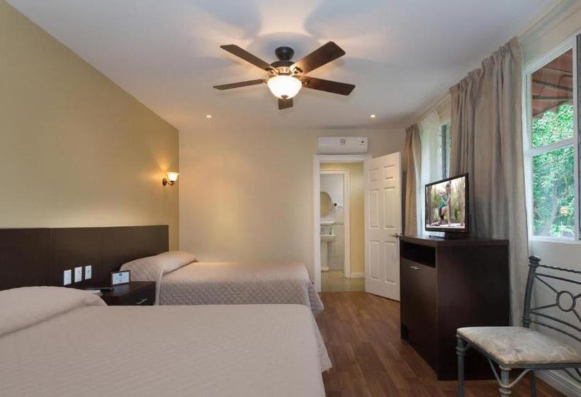 إستوديو قياسى, Airport Costa Rica B&b