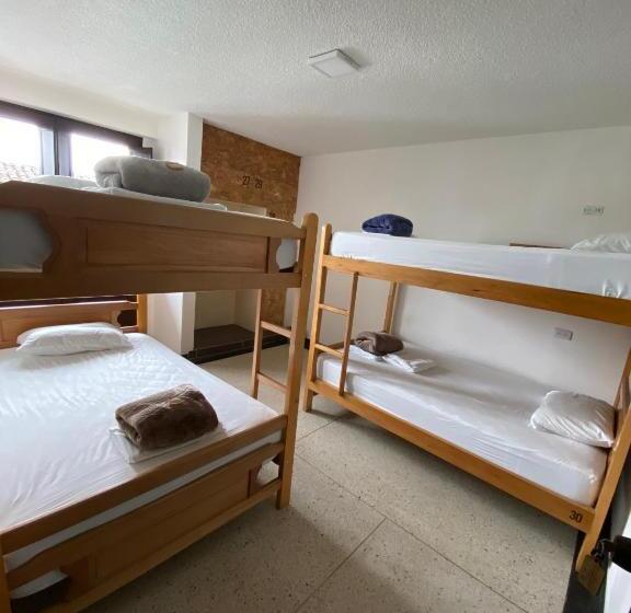 تختخواب در اتاق مشترک, Les Balcons Hostel