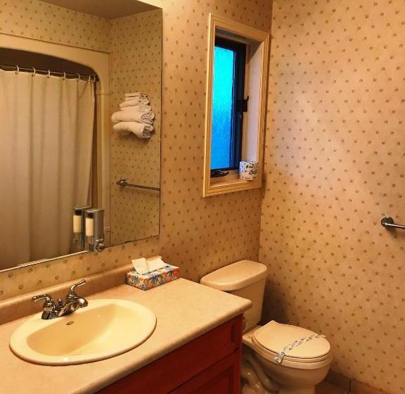 豪华房间, Country Inn Listowel