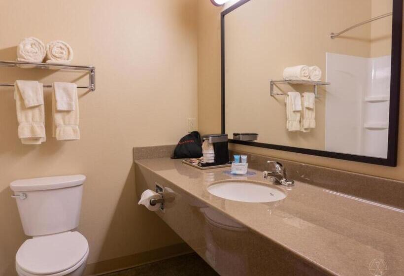 Стандартный Номер Кровать Кинг, Newcastle Lodge & Convention Center