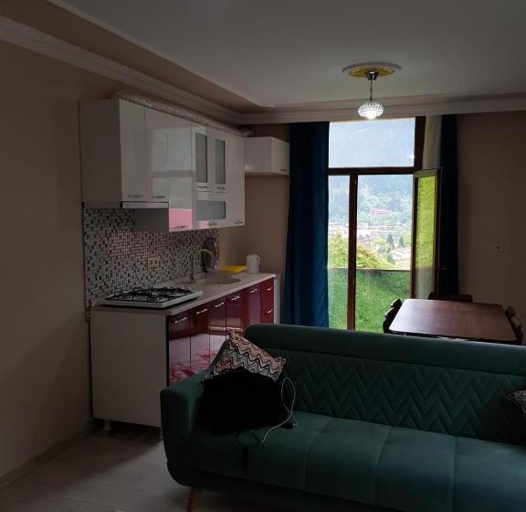 2 Bedrooms Apartment Lake View, Uzungol Apart