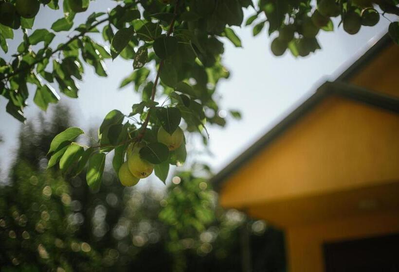 کابین, Senima's Paradise