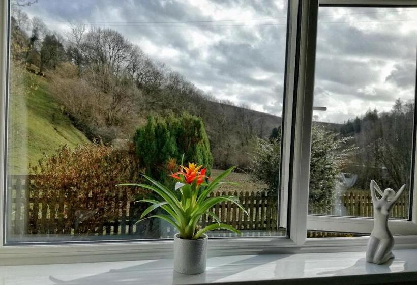 اتاق استاندارد, Neuadd Wen Guest House
