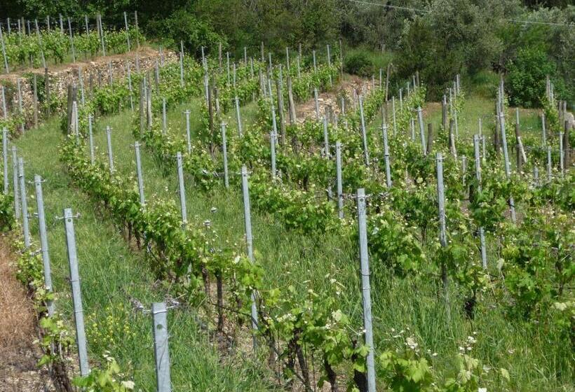 آپارتمان 2 خوابه, Cà Dei Conti