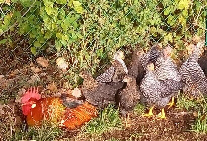 Апартаменты 1 Спальня Вид на Сад, Agriturismo Alla Vecchia Quercia
