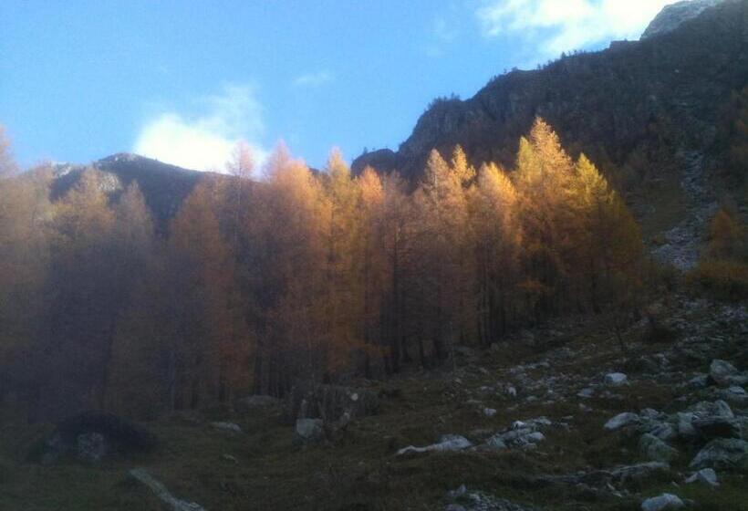 Номер Стандарт, Zwargji