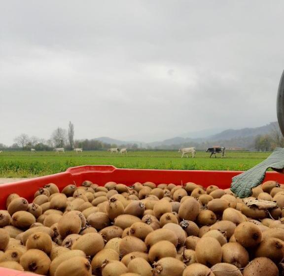 豪华工作室, Agriturismo Fior Di Campo