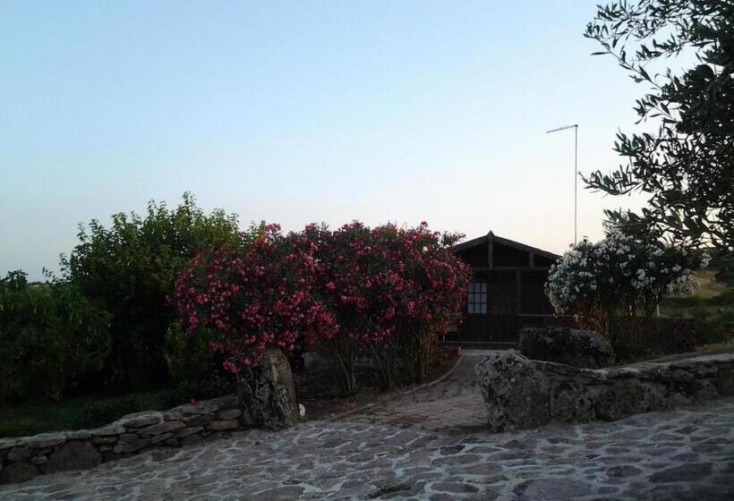 بانگلوی استاندارد 2 خوابه, Agriturismo Su Recreu