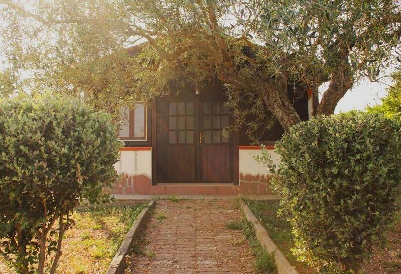 بانگلوی استاندارد, Agriturismo Su Recreu
