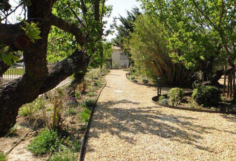 スタンダードスタジオ, Domaine Du Mas Foucray
