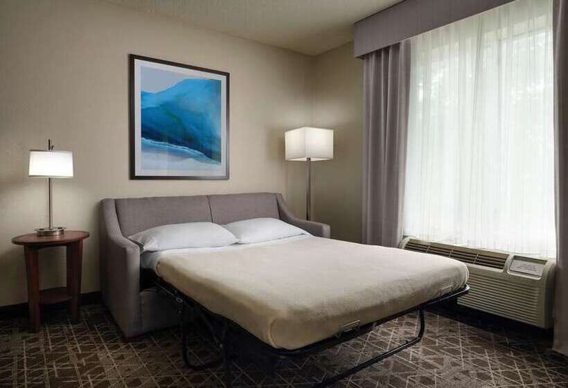 Люкс, Home2 Suites By Hilton Williamsville Buffalo Airport