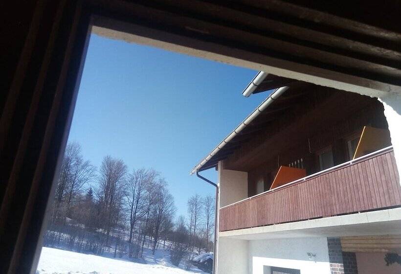 Номер Стандарт с Балконом, Pension Waldblick