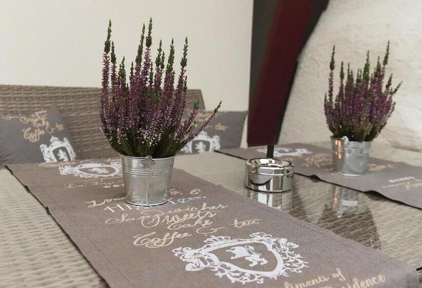 Студия Deluxe, Boardinghouse Alte Bank