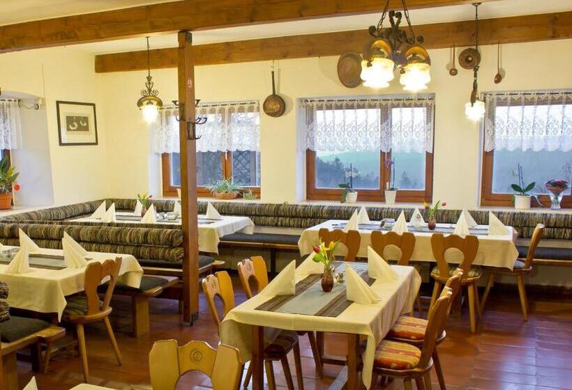Номер Стандарт с Балконом, Berggasthof Lusen