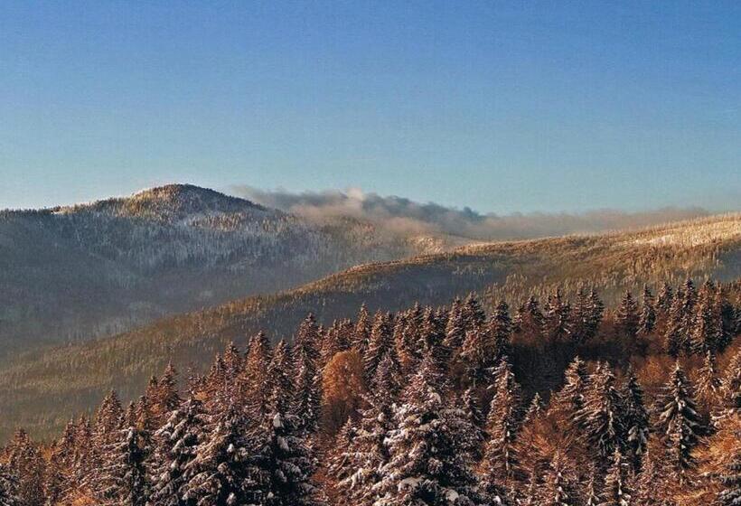 Номер Стандарт Трехместный, Berggasthof Lusen