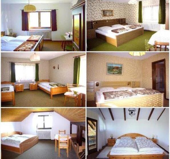 Номер Deluxe, Gasthaus Pension Zum Brandweiher