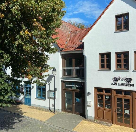 带1个卧室的公寓, Birnbom Warnemünde