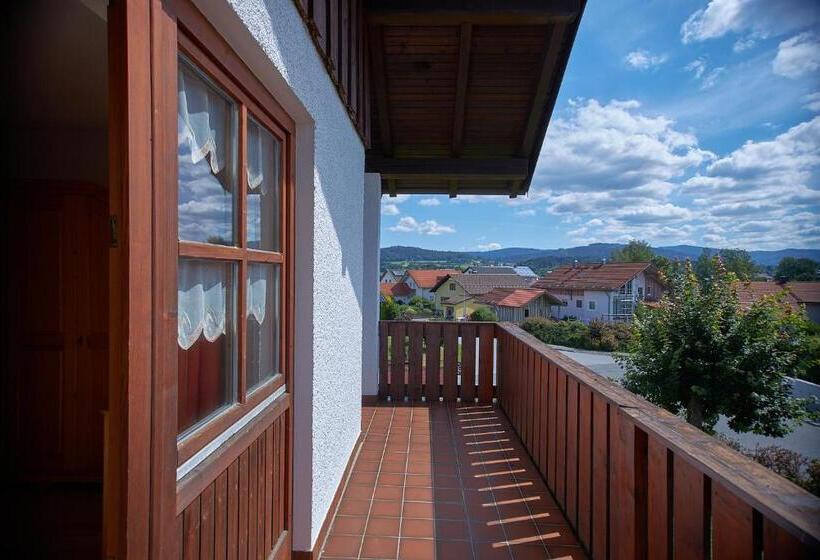 Апартаменты 1 Спальня, Aparthotel Zwiesel