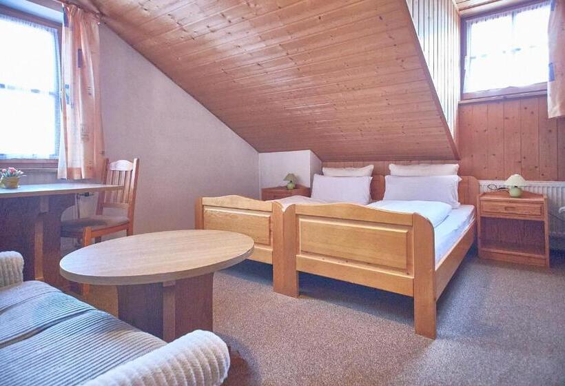Апартаменты 1 Спальня, Aparthotel Zwiesel