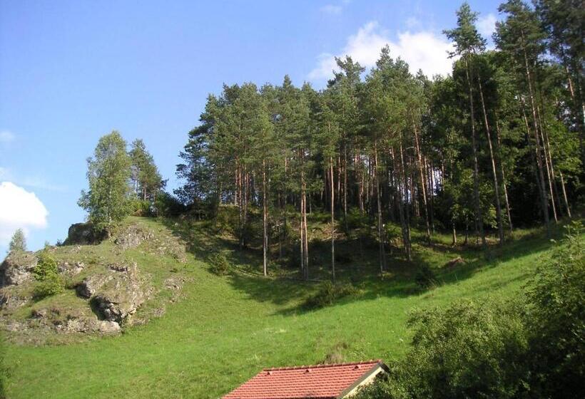 Апартаменты 1 Спальня, Natur Aktiv Hof Thiem
