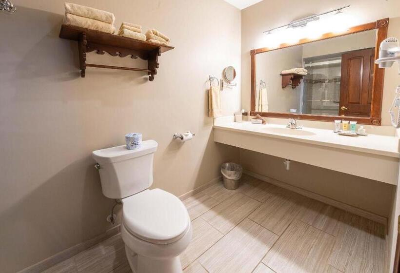 Номер Стандарт Индивидуальный, Carlisle Inn Walnut Creek
