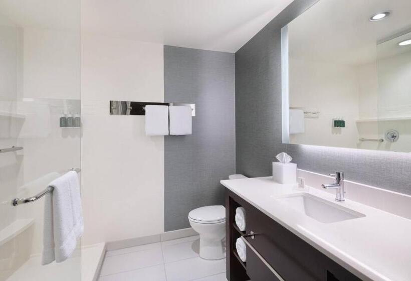 Студио Стандарт Кровать Кинг, Residence Inn By Marriott Spartanburg Westgate