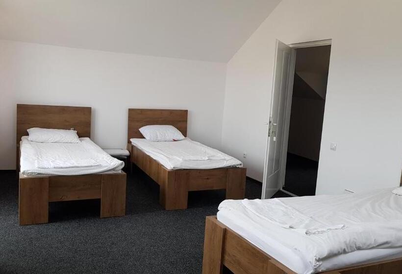 اتاق استاندارد سه تخته با سرویس بهداشتی مشترک, Bigcitty Rooms