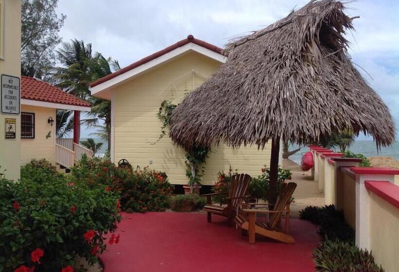 Номер Стандарт, Inn At White Horse Guest House