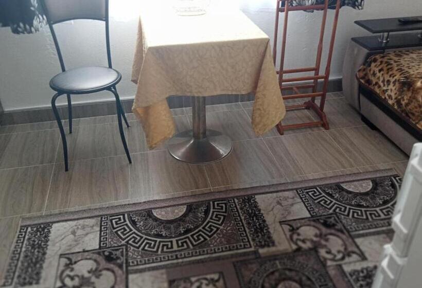 آپارتمان 1 خوابه با بالکن, Villa L Vovskaia