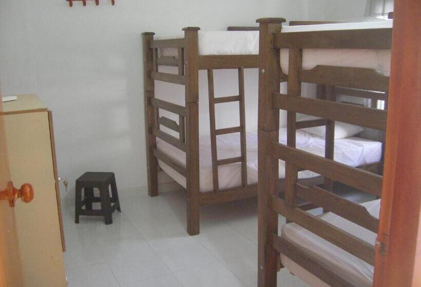 공동 객실, Hostal Palohe Taganga