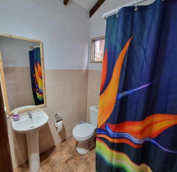 Номер Стандарт, Hostal Vieroto